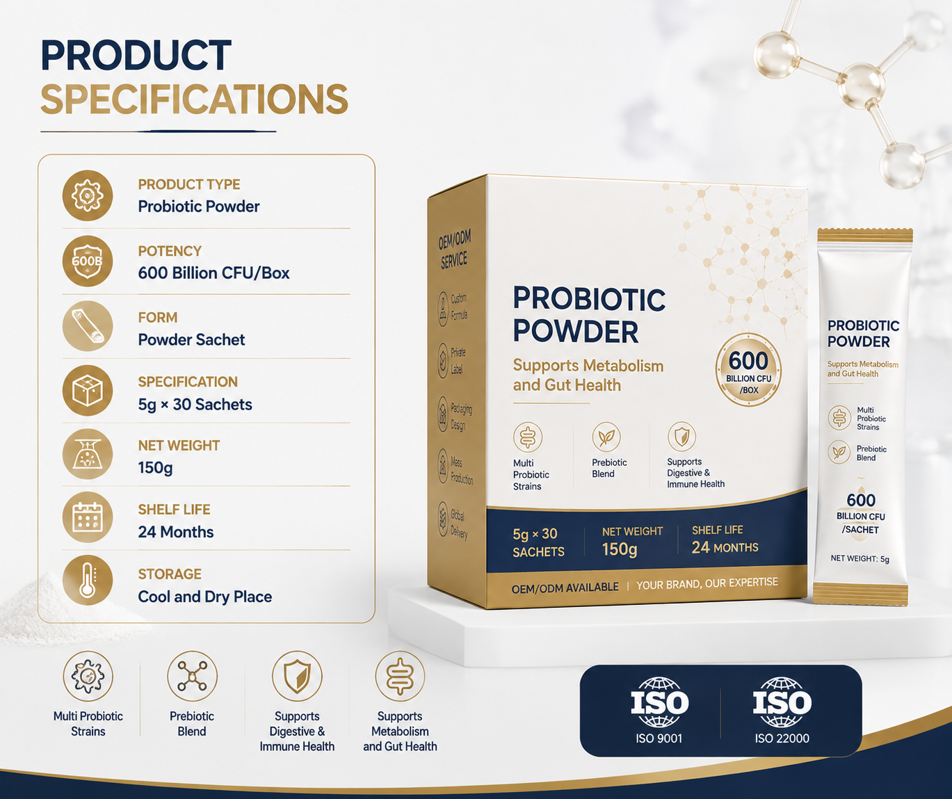 Multi-Strain Probiotic Powder